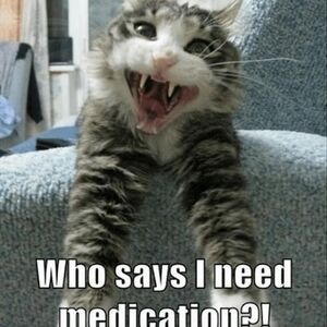 Elegant Gold and Silver Women's Necklace